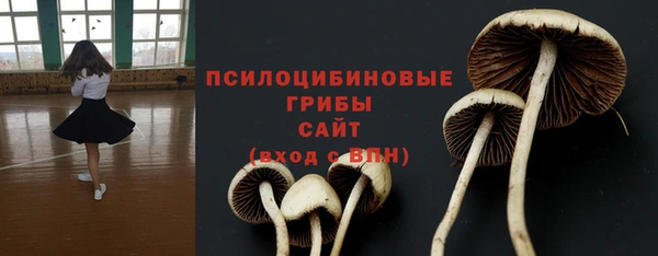 мдпв Нягань
