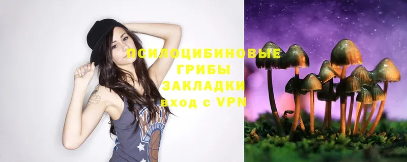 Галлюциногенные грибы Magic Shrooms  что такое   Собинка 