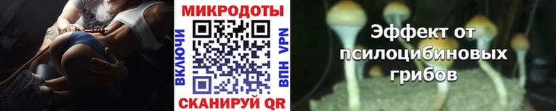 Галлюциногенные грибы Cubensis  Собинка 